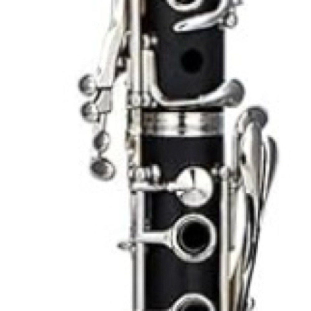 Premium Black and Silver Clarinet